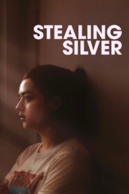 Stealing Silver 2017 one on netflix