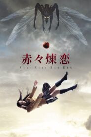 What I Long For 2013 one on netflix