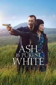 Ash Is Purest White 2018 one on netflix