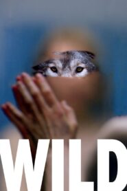 Wild 2016 one on netflix
