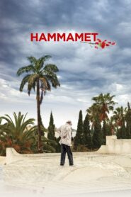 Hammamet 2020 one on netflix