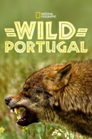 Wild Portugal 2020 one on netflix