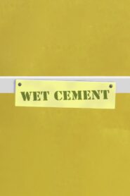 Wet Cement 2020 one on netflix
