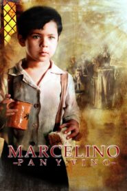 The Miracle of Marcelino 2010 one on netflix
