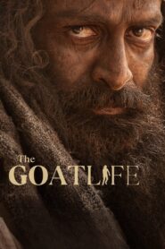 The Goat Life 2024 one on netflix