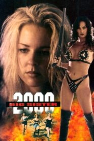 Big Sister 2000 1995 one on netflix