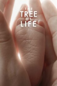 The Tree of Life 2011 one on netflix