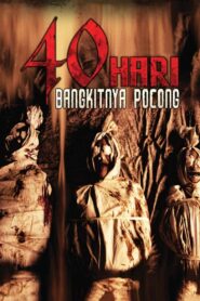 40 Hari Bangkitnya Pocong 2008 one on netflix