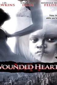 Wounded Hearts 2004 one on netflix