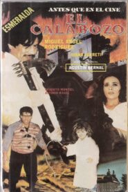 El calabozo 1993 one on netflix