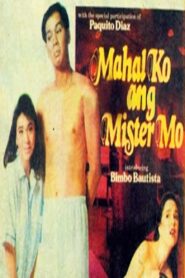 Mahal Ko Ang Mister Mo 1991 one on netflix