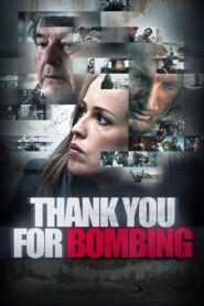 Thank You for Bombing 2015 one on netflix
