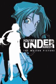 You’re Under Arrest: The Motion Picture 1999 one on netflix