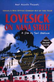 Lovesick on Nana Street 1995 one on netflix