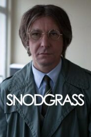 Snodgrass 2013 one on netflix