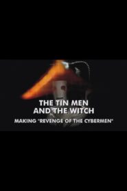 The Tin Men and the Witch 2010 one on netflix