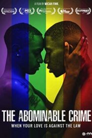 The Abominable Crime 2013 one on netflix