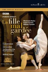 La Fille mal gardée 2005 one on netflix