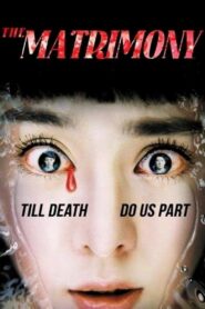 The Matrimony 2007 one on netflix