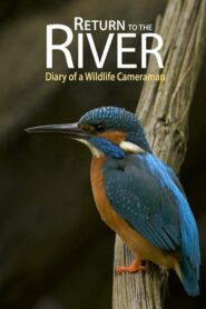 Return to the River 2015 one on netflix