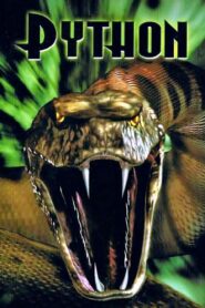 Python 2000 one on netflix