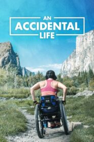 An Accidental Life 2022 one on netflix