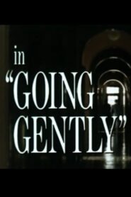 Going Gently 1981 one on netflix