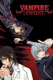 Vampire Knight 2008 one on netflix
