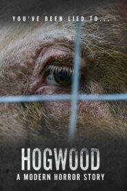 Hogwood: A Modern Horror Story 2020 one on netflix
