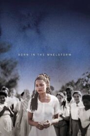 Born in the Maelstrom 2017 one on netflix