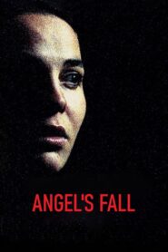 Angel’s Fall 2005 one on netflix