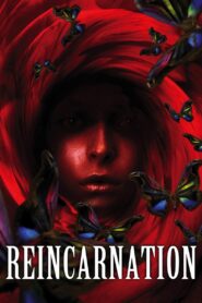 Reincarnation 2005 one on netflix
