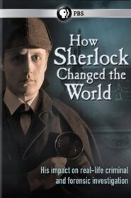 How Sherlock Changed the World 2013 one on netflix