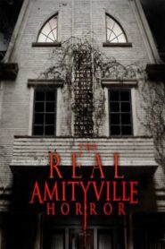 The Real Amityville Horror 2005 one on netflix
