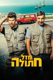 Cat’s Luck 2024 one on netflix