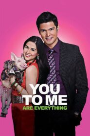 You to Me Are Everything 2010 one on netflix
