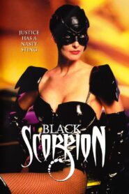 Black Scorpion 1995 one on netflix