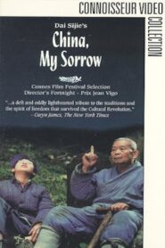 China, My Sorrow 1989 one on netflix