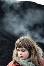 Stray 2013 one on netflix
