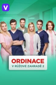Ordinace v růžové zahradě 2005 one on netflix