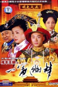 咸丰王朝之一帘幽梦 2005 one on netflix