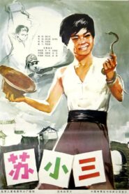 苏小三 1981 one on netflix