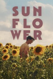 Sunflower 2024 one on netflix