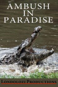 Ambush in Paradise 1999 one on netflix