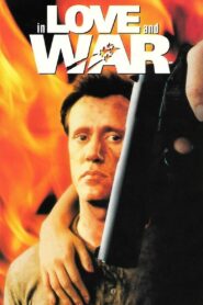 In Love and War 1987 one on netflix