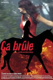 Ça brûle 2006 one on netflix