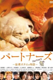 Partners 2010 one on netflix