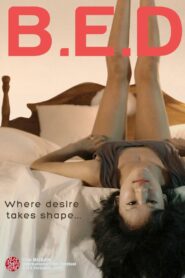 B.E.D 2012 one on netflix