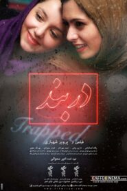 Trapped 2013 one on netflix