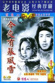 A Storm Will Come Tonight 1984 one on netflix